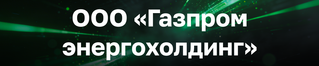 ООО «Газпром энергохолдинг»