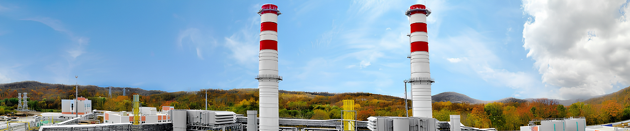 ПАО «Интер РАО»